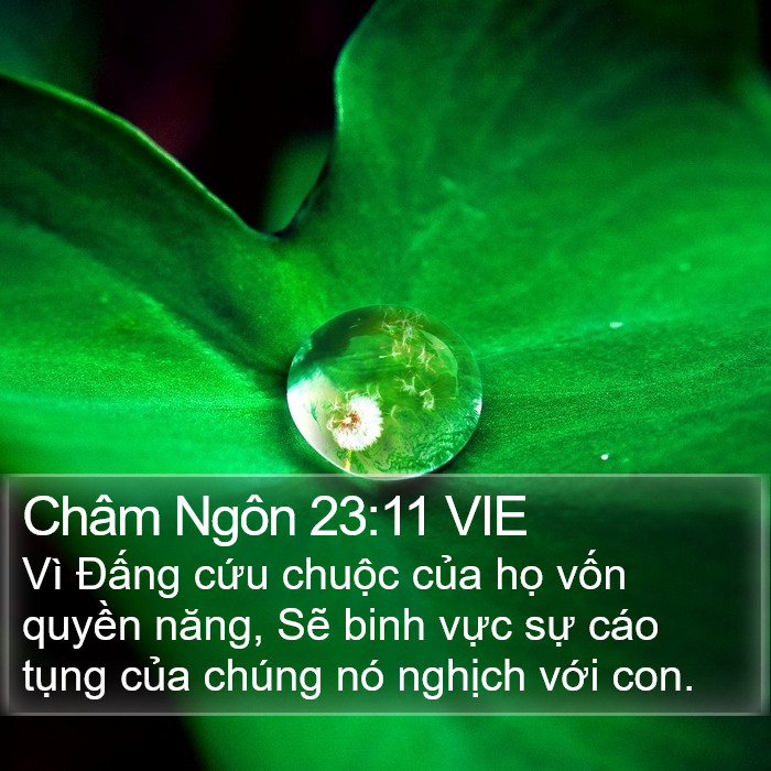 Châm Ngôn 23:11 VIE Bible Study