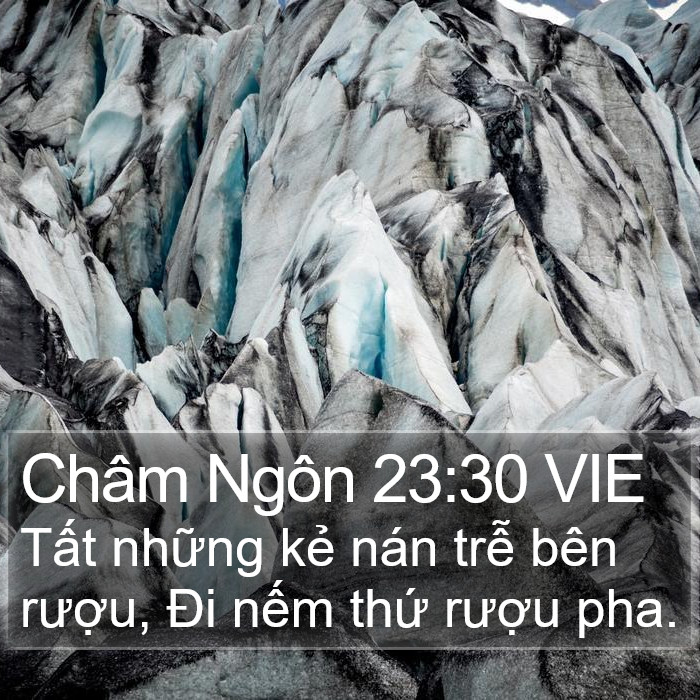 Châm Ngôn 23:30 VIE Bible Study