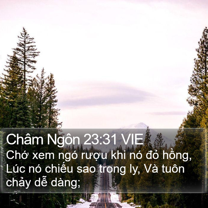 Châm Ngôn 23:31 VIE Bible Study