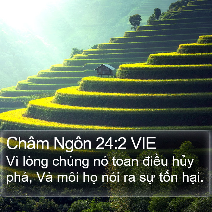 Châm Ngôn 24:2 VIE Bible Study