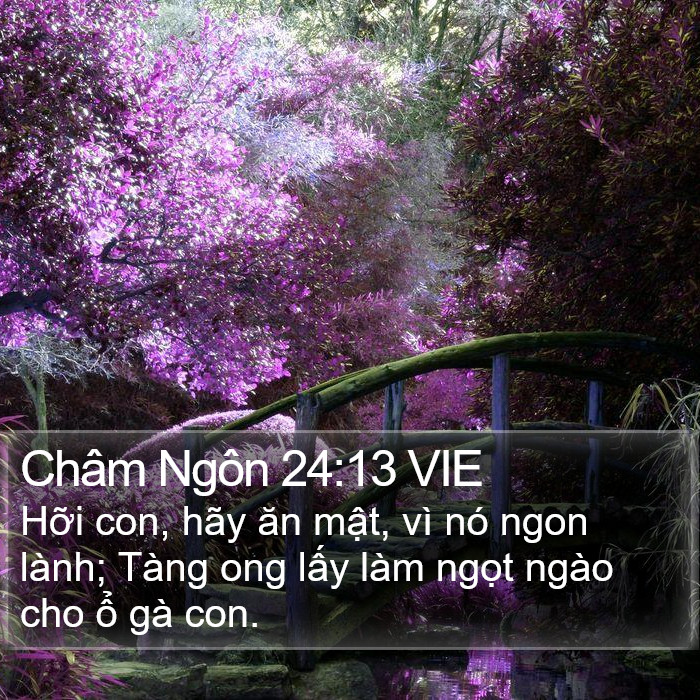 Châm Ngôn 24:13 VIE Bible Study