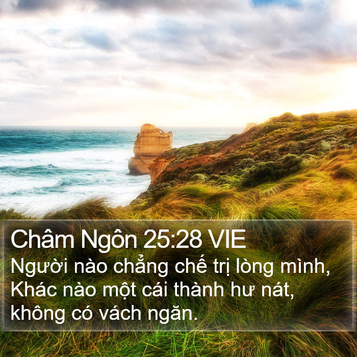 Châm Ngôn 25:28 VIE Bible Study