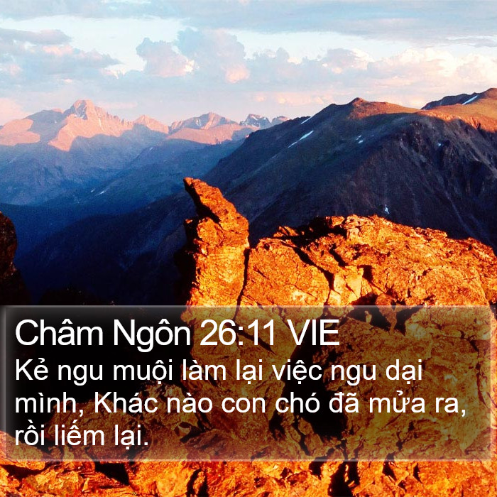 Châm Ngôn 26:11 VIE Bible Study