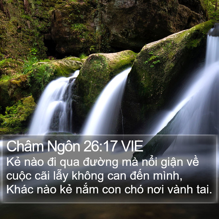 Châm Ngôn 26:17 VIE Bible Study