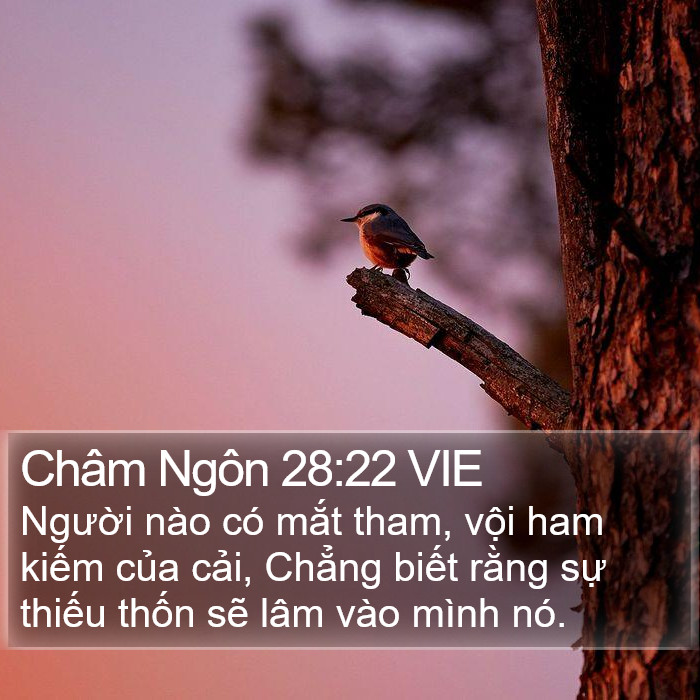 Châm Ngôn 28:22 VIE Bible Study