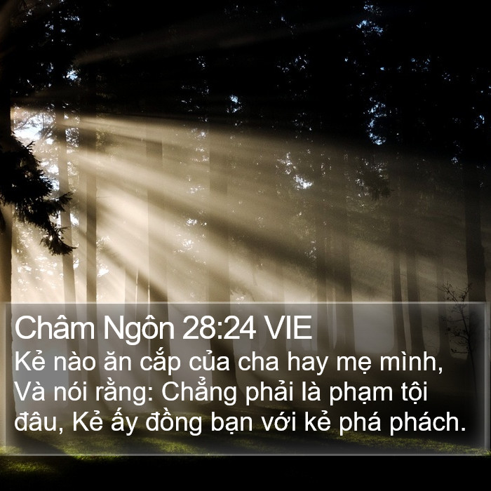Châm Ngôn 28:24 VIE Bible Study