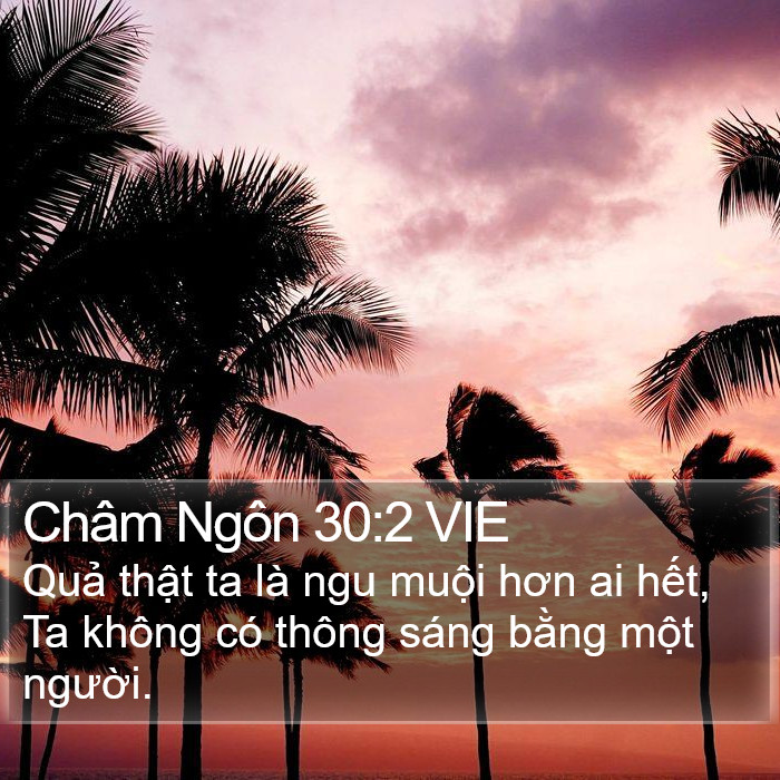 Châm Ngôn 30:2 VIE Bible Study