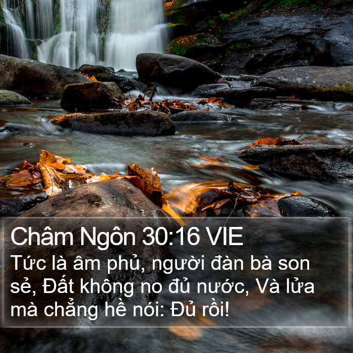 Châm Ngôn 30:16 VIE Bible Study