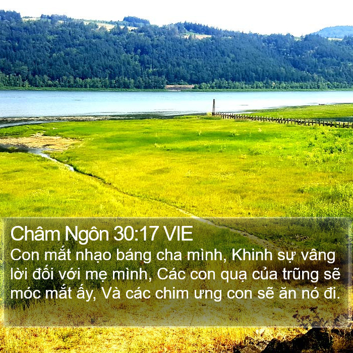 Châm Ngôn 30:17 VIE Bible Study