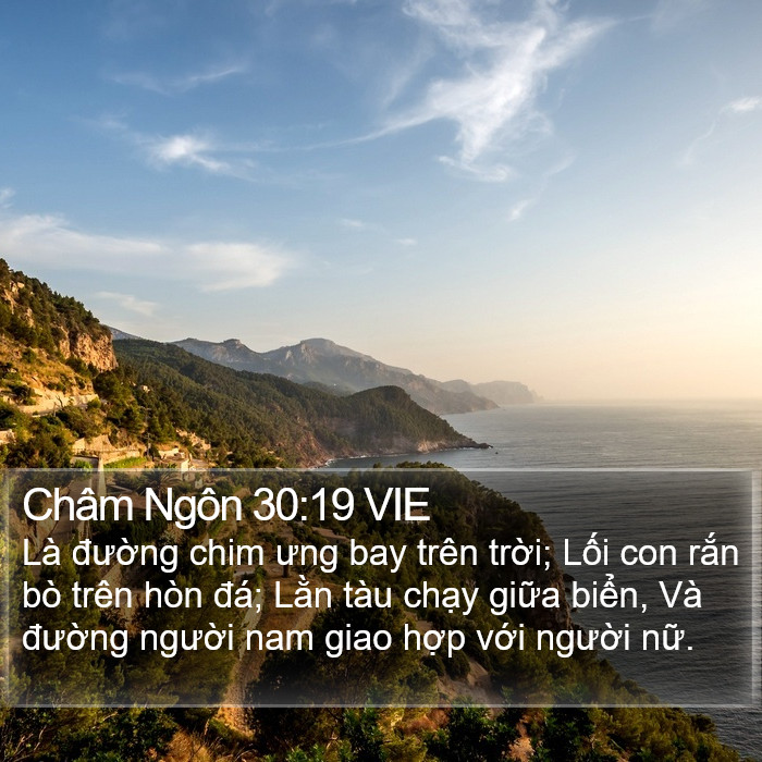 Châm Ngôn 30:19 VIE Bible Study