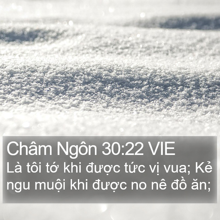 Châm Ngôn 30:22 VIE Bible Study