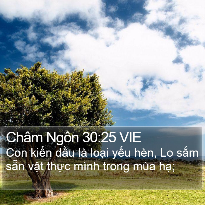 Châm Ngôn 30:25 VIE Bible Study