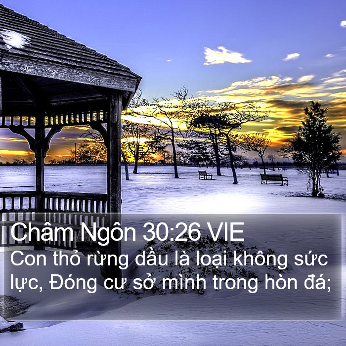 Châm Ngôn 30:26 VIE Bible Study