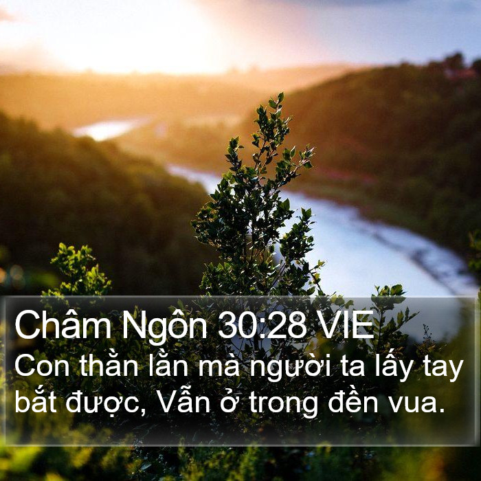 Châm Ngôn 30:28 VIE Bible Study