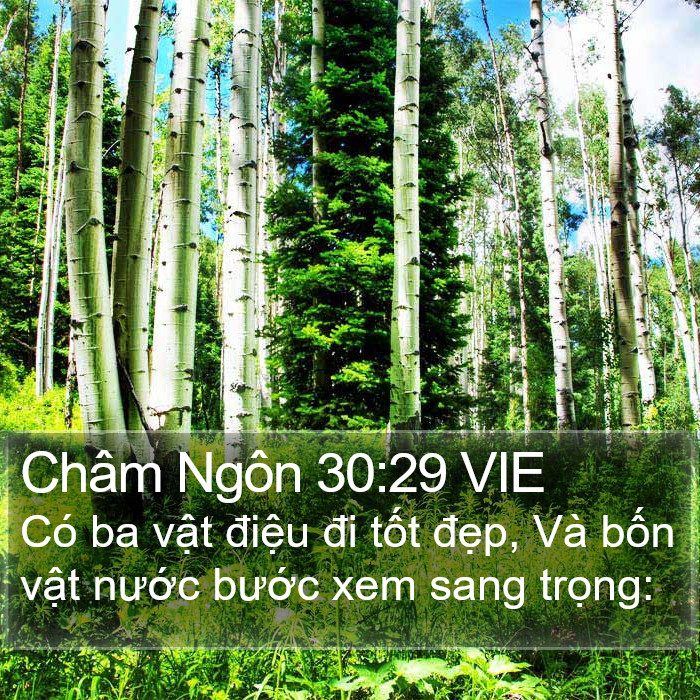 Châm Ngôn 30:29 VIE Bible Study