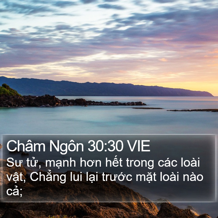 Châm Ngôn 30:30 VIE Bible Study