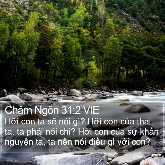 Châm Ngôn 31:2 VIE Bible Study