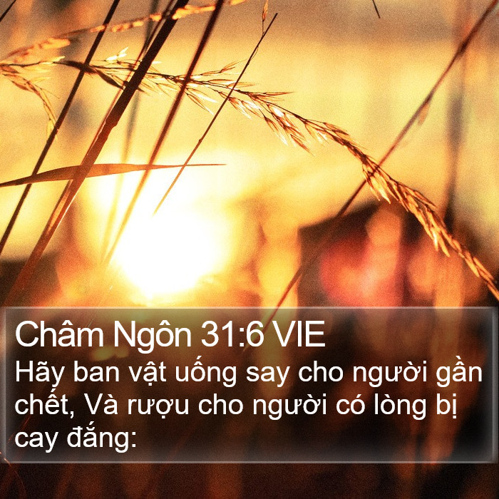 Châm Ngôn 31:6 VIE Bible Study