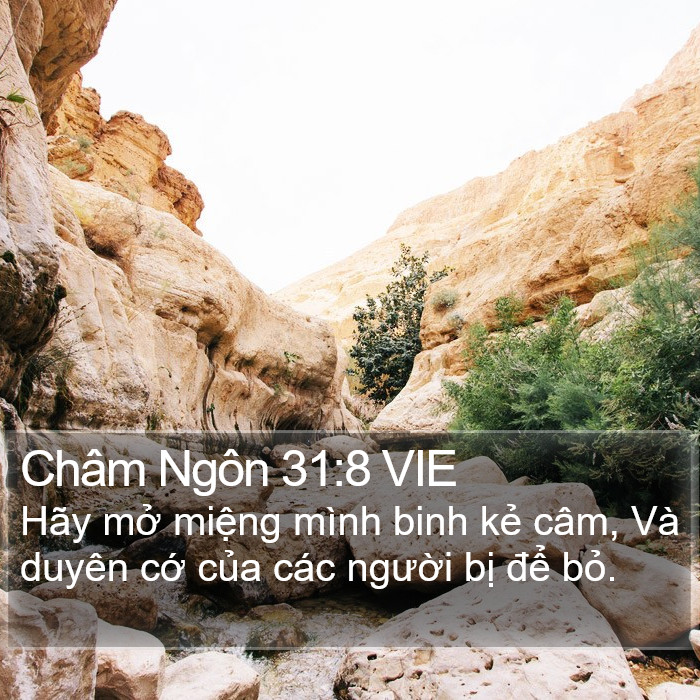 Châm Ngôn 31:8 VIE Bible Study