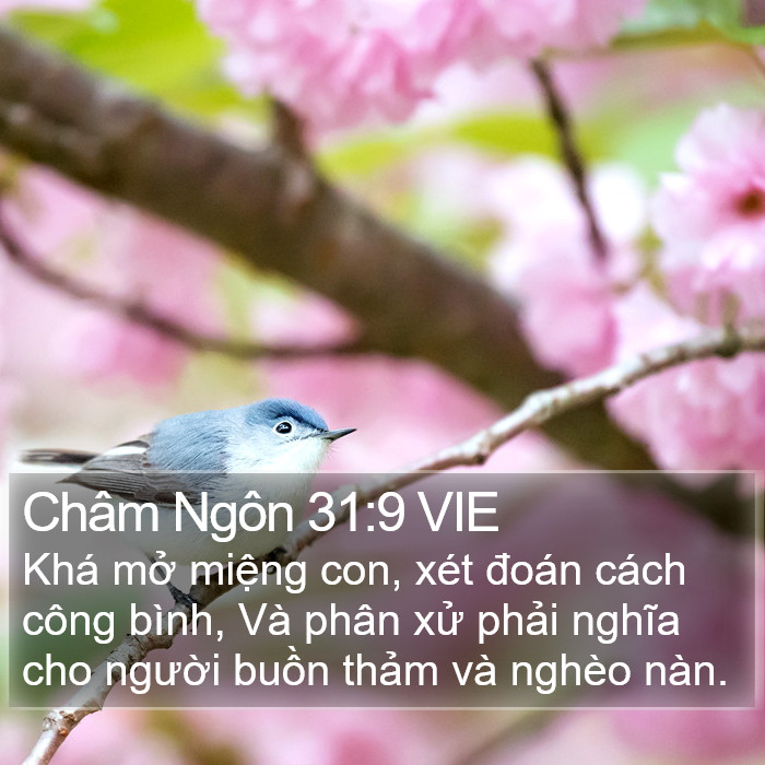 Châm Ngôn 31:9 VIE Bible Study