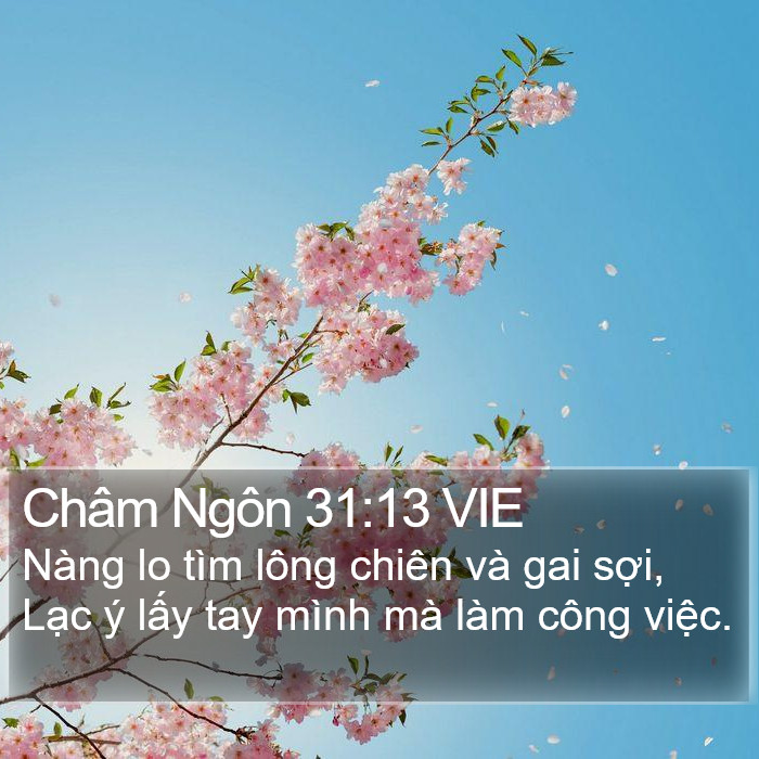 Châm Ngôn 31:13 VIE Bible Study