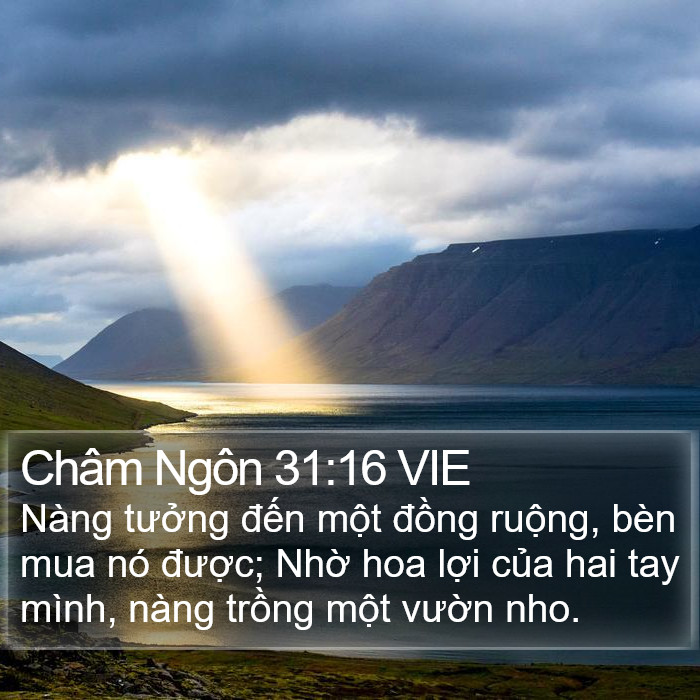 Châm Ngôn 31:16 VIE Bible Study