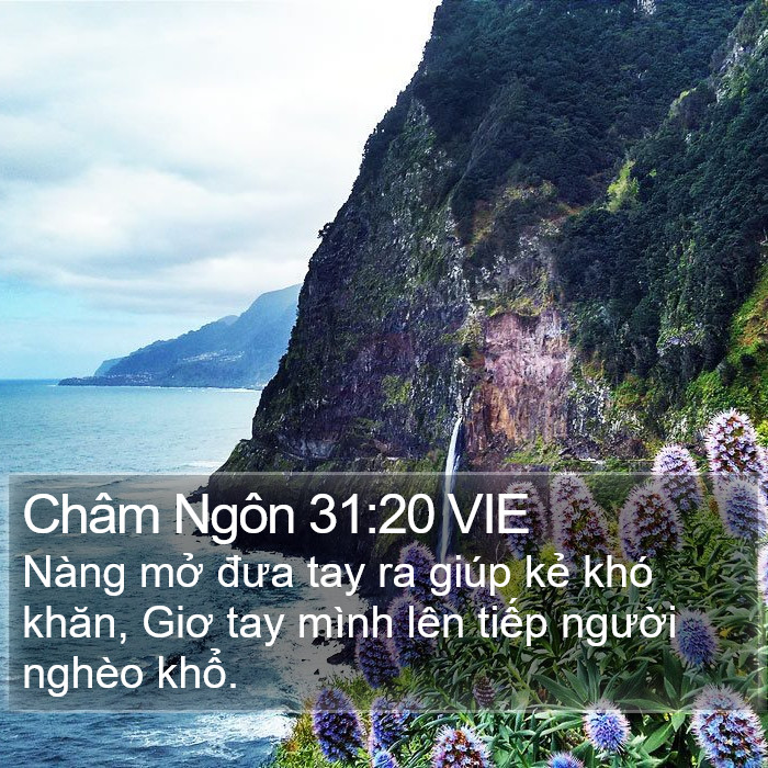 Châm Ngôn 31:20 VIE Bible Study