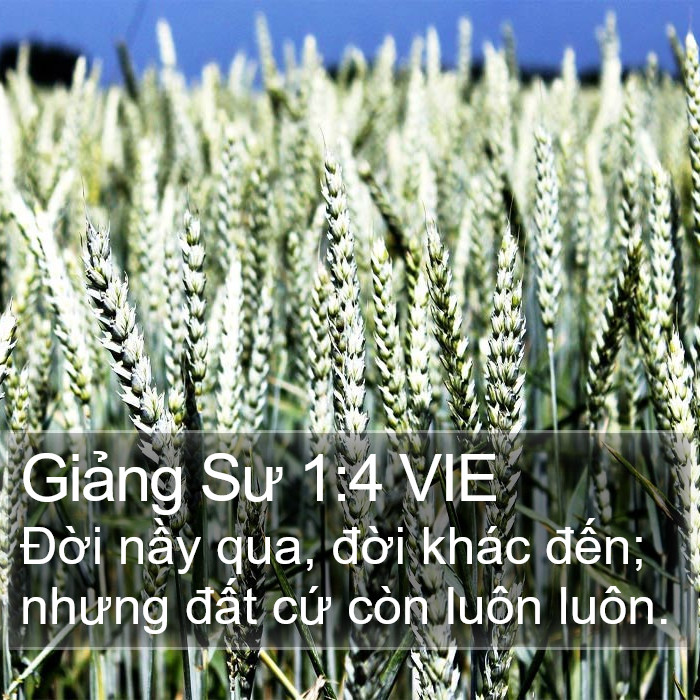 Giảng Sư 1:4 VIE Bible Study