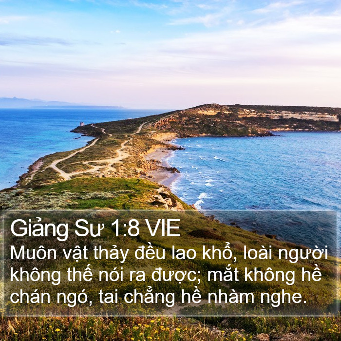 Giảng Sư 1:8 VIE Bible Study