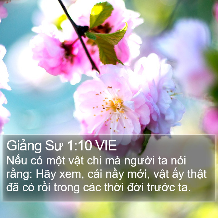 Giảng Sư 1:10 VIE Bible Study