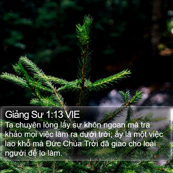 Giảng Sư 1:13 VIE Bible Study