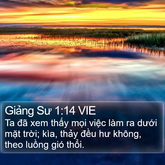 Giảng Sư 1:14 VIE Bible Study