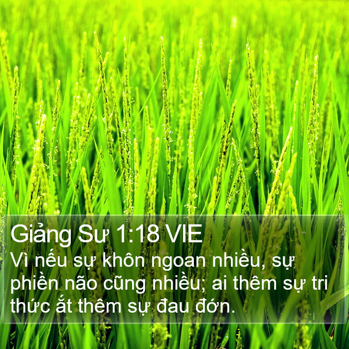 Giảng Sư 1:18 VIE Bible Study