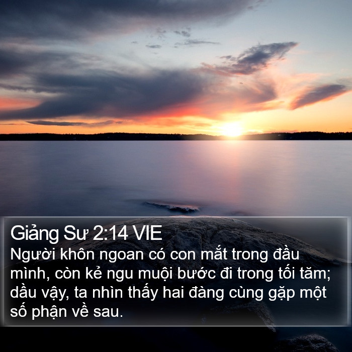 Giảng Sư 2:14 VIE Bible Study