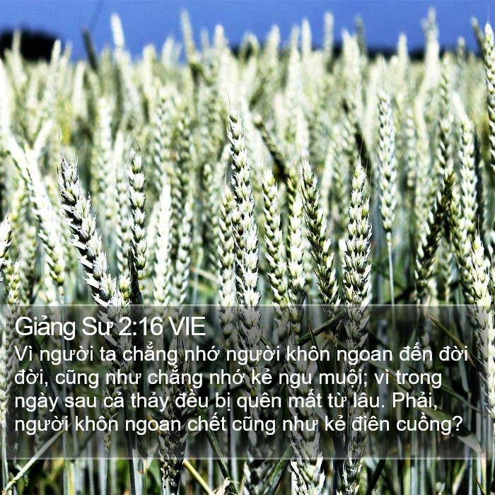 Giảng Sư 2:16 VIE Bible Study