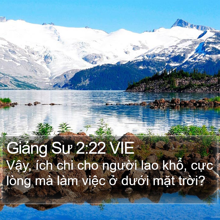 Giảng Sư 2:22 VIE Bible Study