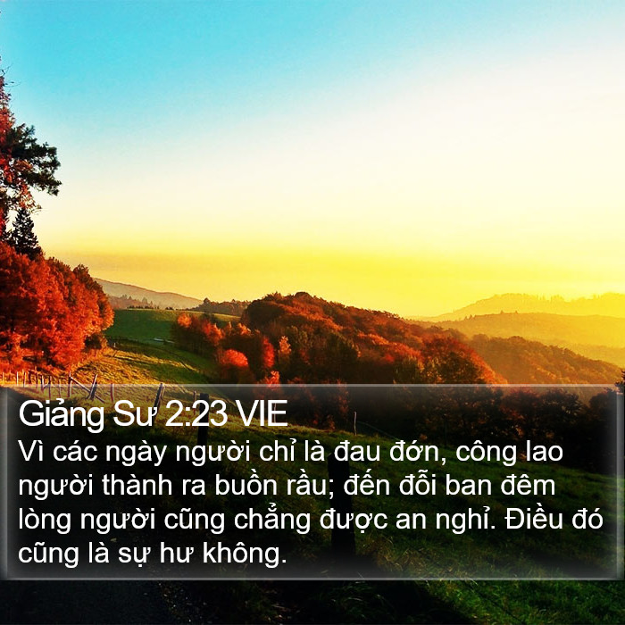Giảng Sư 2:23 VIE Bible Study