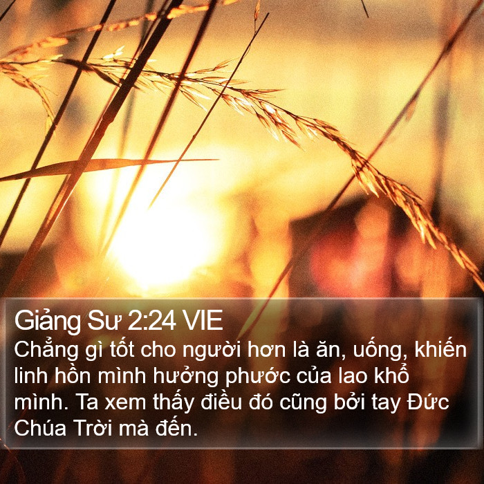 Giảng Sư 2:24 VIE Bible Study