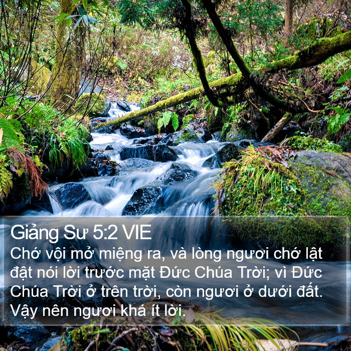 Giảng Sư 5:2 VIE Bible Study