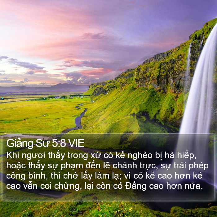 Giảng Sư 5:8 VIE Bible Study