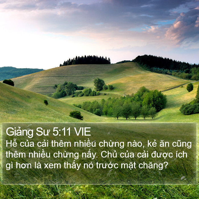 Giảng Sư 5:11 VIE Bible Study