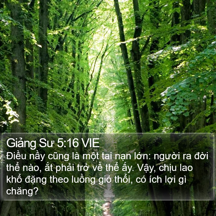 Giảng Sư 5:16 VIE Bible Study