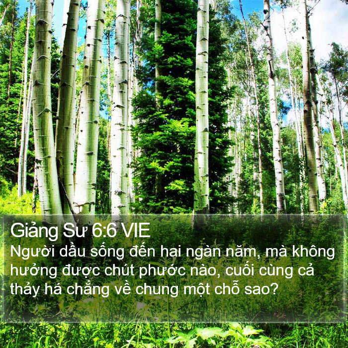 Giảng Sư 6:6 VIE Bible Study