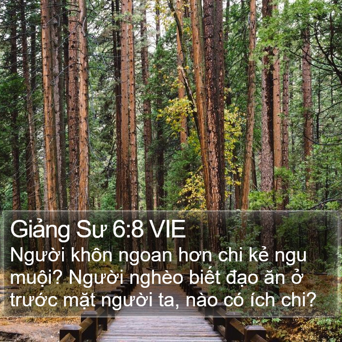 Giảng Sư 6:8 VIE Bible Study