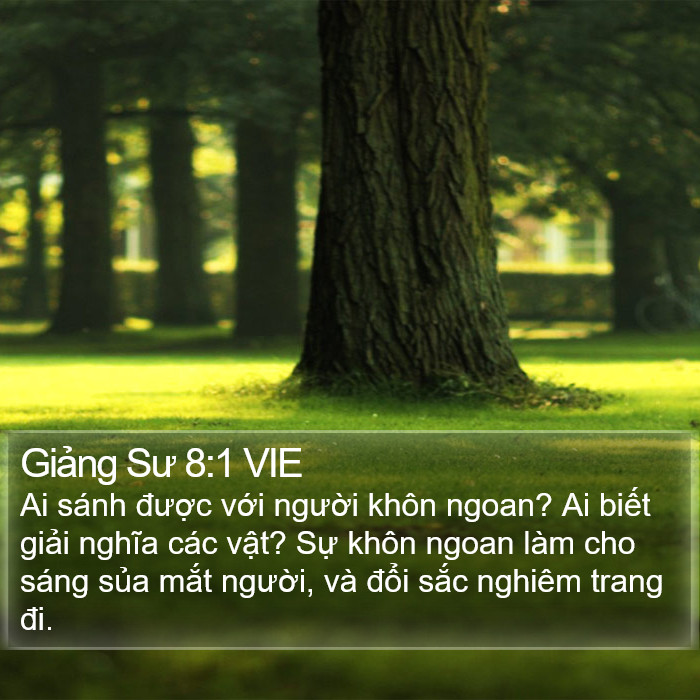 Giảng Sư 8:1 VIE Bible Study