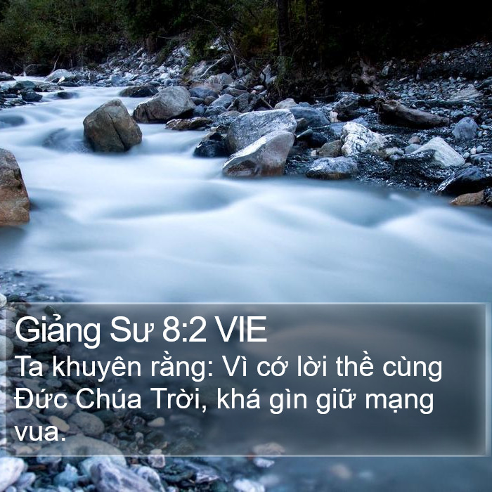 Giảng Sư 8:2 VIE Bible Study