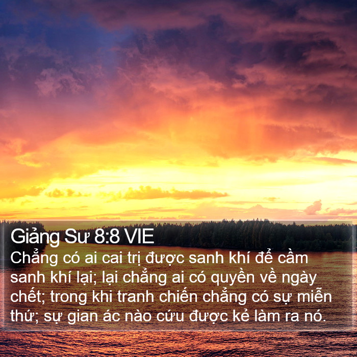 Giảng Sư 8:8 VIE Bible Study