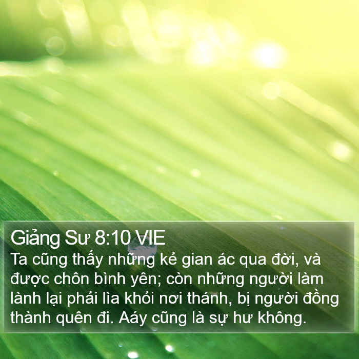 Giảng Sư 8:10 VIE Bible Study