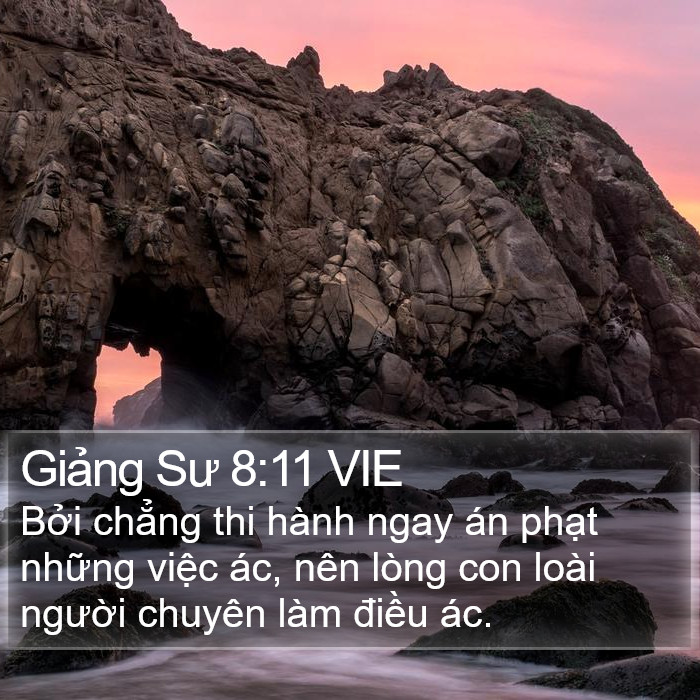 Giảng Sư 8:11 VIE Bible Study