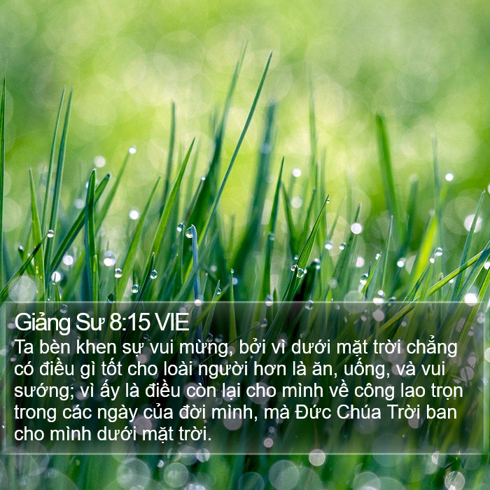 Giảng Sư 8:15 VIE Bible Study